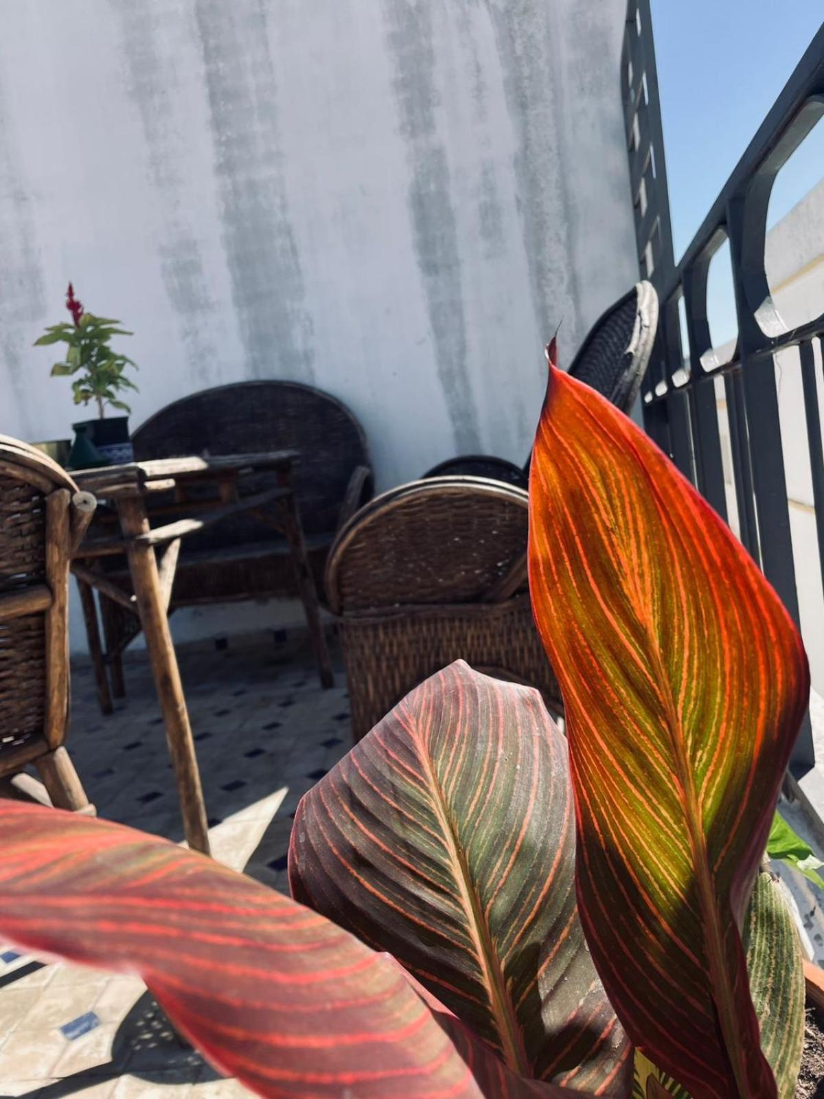Kasbah'S Road Art House Villa Tanger Luaran gambar